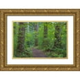thumbnail image 1 of Jaynes Gallery 14x11 Gold Ornate Wood Framed with Double Matting Museum Art Print Titled - USA-Washington State-Olympic National Forest Ranger Hole Trail through forest, 1 of 4