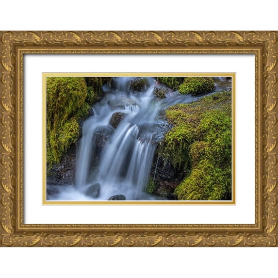 Jaynes Gallery 14x11 Gold Ornate Wood Framed with Double Matting Museum Art Print Titled - USA-Washington State-Olympic National Park Cedar Creek cascades through moss- covered boulders