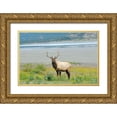 thumbnail image 1 of Jaynes Gallery 14x11 Gold Ornate Wood Framed with Double Matting Museum Art Print Titled - Canada-Alberta-Jasper National Park Male elk in field, 1 of 4