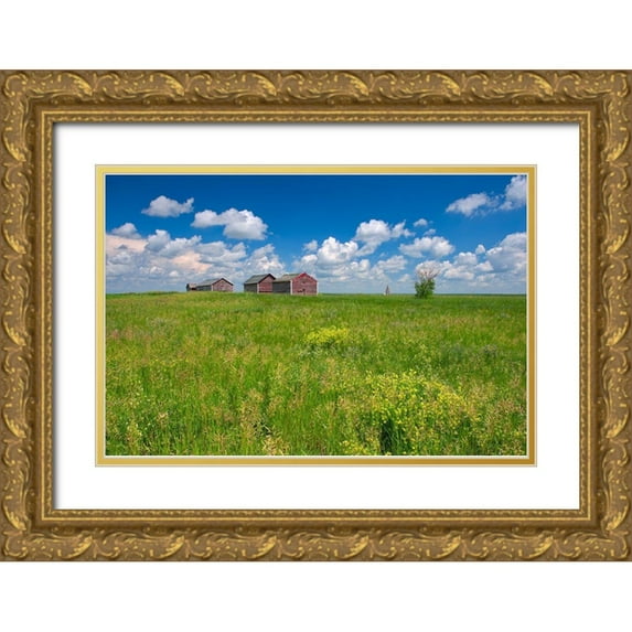 Jaynes Gallery 14x11 Gold Ornate Wood Framed with Double Matting Museum Art Print Titled - Canada-Alberta-Oyen Granaries in field of grass