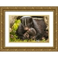thumbnail image 1 of Jaynes Gallery 14x11 Gold Ornate Wood Framed with Double Matting Museum Art Print Titled - Minnesota-striped skunk-mother and kit in log-captive, 1 of 4