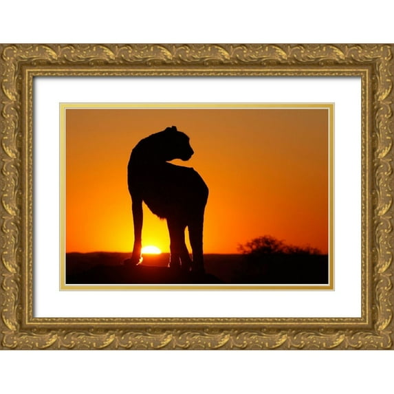 Jaynes Gallery 14x11 Gold Ornate Wood Framed with Double Matting Museum Art Print Titled - Namibia Cheetah silhouette at sunset