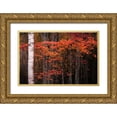 thumbnail image 1 of Jaynes Gallery 14x11 Gold Ornate Wood Framed with Double Matting Museum Art Print Titled - USA-Maine-Acadia National Park, 1 of 4