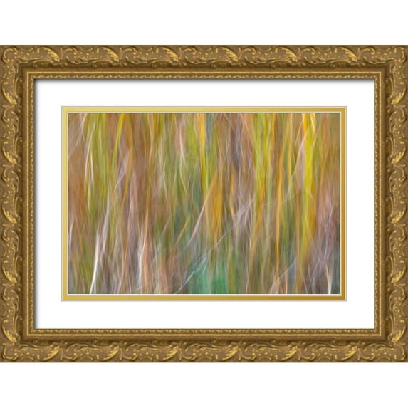 Jaynes Gallery 14x11 Gold Ornate Wood Framed with Double Matting Museum Art Print Titled - Washington State-Seabeck Abstract of ornamental grasses