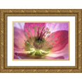 thumbnail image 1 of Jaynes Gallery 14x11 Gold Ornate Wood Framed with Double Matting Museum Art Print Titled - Washington State-Seabeck Hellebore blossom close-up, 1 of 4