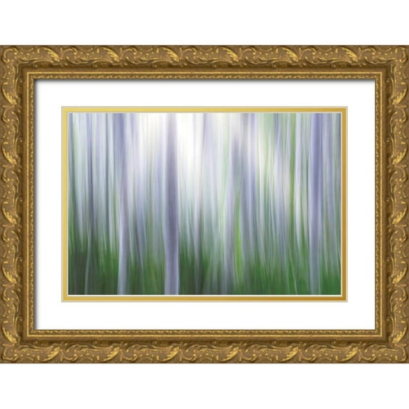 Jaynes Gallery 14x11 Gold Ornate Wood Framed with Double Matting Museum Art Print Titled - Washington State-Seabeck Panoramic abstract of alder grove