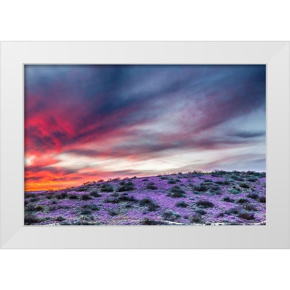 Jaynes Gallery 14x11 White Modern Wood Framed Museum Art Print Titled - Arizona-Globe-Round Mountain Park-Sunset on desert super bloom