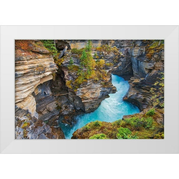 Jaynes Gallery 14x11 White Modern Wood Framed Museum Art Print Titled - Canada-Alberta-Jasper National Park Athabasca River at Athabasca Falls