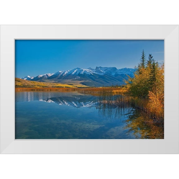 Jaynes Gallery 14x11 White Modern Wood Framed Museum Art Print Titled - Canada-Alberta-Jasper National Park Reflections in Talbot Lake