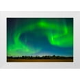 thumbnail image 1 of Jaynes Gallery 14x11 White Modern Wood Framed Museum Art Print Titled - Canada-Manitoba-Birds Hill Provincial Park-green northern lights, 1 of 4