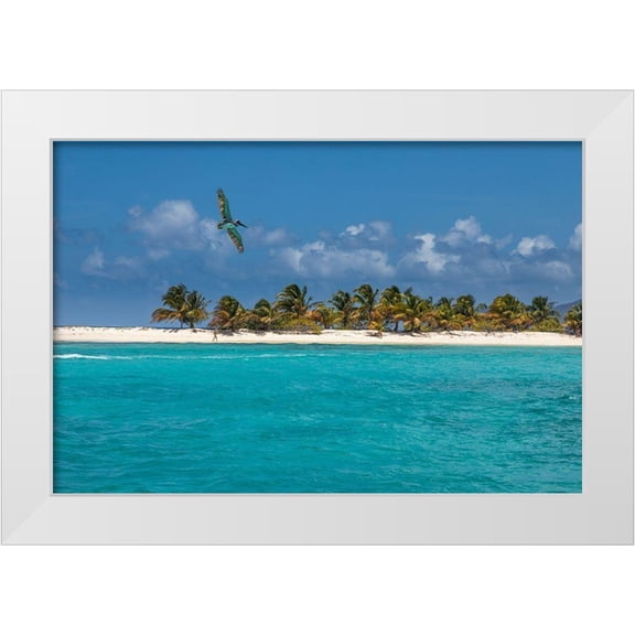 Jaynes Gallery 14x11 White Modern Wood Framed Museum Art Print Titled - Caribbean-Grenada-Sandy Island Pelican flies over ocean shore