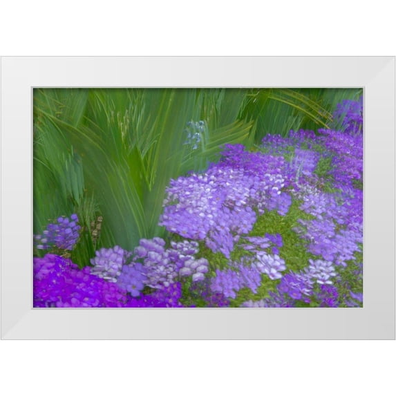 Jaynes Gallery 14x11 White Modern Wood Framed Museum Art Print Titled - France-Giverny Impression of flowers in Monets Garden