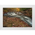 thumbnail image 1 of Jaynes Gallery 14x11 White Modern Wood Framed Museum Art Print Titled - USA-Maine-Acadia National Park Stream rapids in forest, 1 of 4