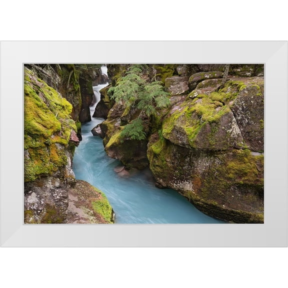Jaynes Gallery 14x11 White Modern Wood Framed Museum Art Print Titled - USA-Montana-Glacier National Park Glacial silt in Avalanche Creek flows through gorge