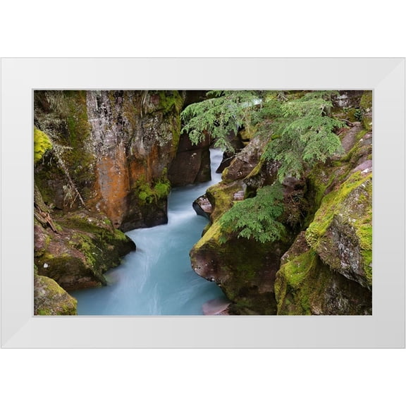 Jaynes Gallery 14x11 White Modern Wood Framed Museum Art Print Titled - USA-Montana-Glacier National Park Glacial silt in Avalanche Creek flows through gorge