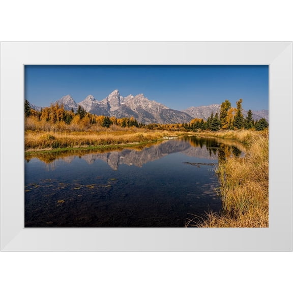 Jaynes Gallery 14x11 White Modern Wood Framed Museum Art Print Titled - USA-Montana-Grand Teton National Park Grand Teton Range and stream reflects in stream