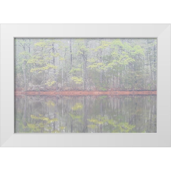 Jaynes Gallery 14x11 White Modern Wood Framed Museum Art Print Titled - USA-New Jersey-Pine Barrens National Preserve Foggy forest landscape reflects in lake