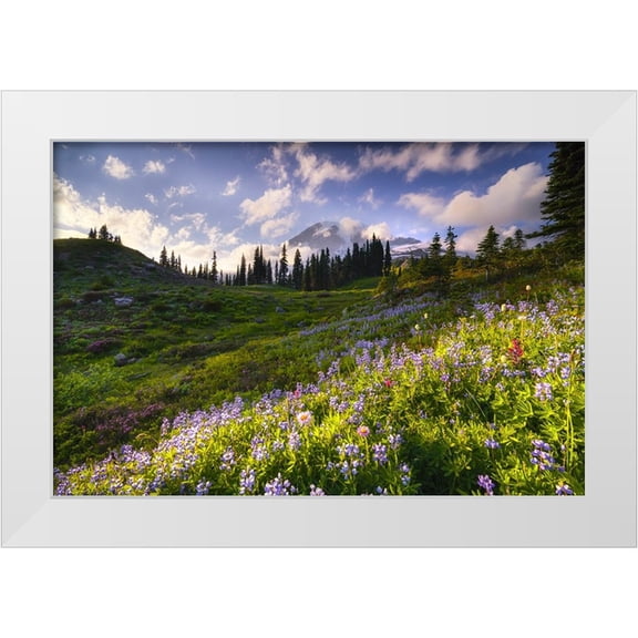 Jaynes Gallery 14x11 White Modern Wood Framed Museum Art Print Titled - USA-Washington-Mt-Rainier National Park-Mountain meadow with wildflowers