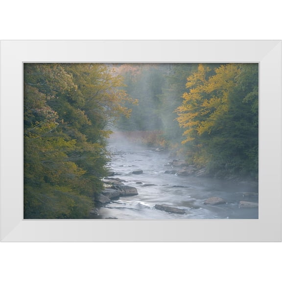 Jaynes Gallery 14x11 White Modern Wood Framed Museum Art Print Titled - USA-West Virginia-Davis Foggy stream in Blackwater State Park
