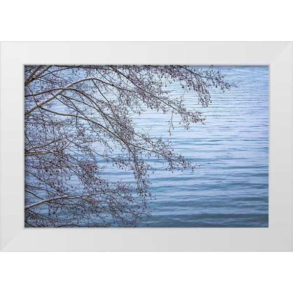 Jaynes Gallery 14x11 White Modern Wood Framed Museum Art Print Titled - Washington State-Seabeck Alder branches in winter and Hood Canal