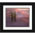 thumbnail image 1 of Jaynes Gallery 14x12 Black Ornate Wood Framed with Double Matting Museum Art Print Titled - New Jersey-Pine Barrens Sunset on lake reeds, 1 of 4