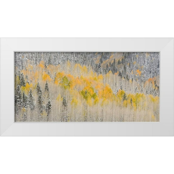Jaynes Gallery 14x9 White Modern Wood Framed Museum Art Print Titled - USA-Colorado-Uncompahgre National Forest Panoramic of fresh snow and autumn colors on forest