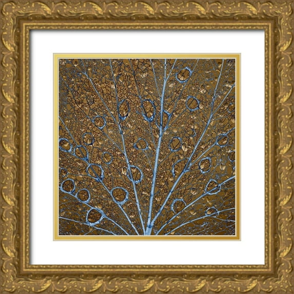 Jaynes Gallery 15x15 Gold Ornate Wood Framed with Double Matting Museum Art Print Titled - An abstraction of water drops on a skeletonized cottonwood leaf