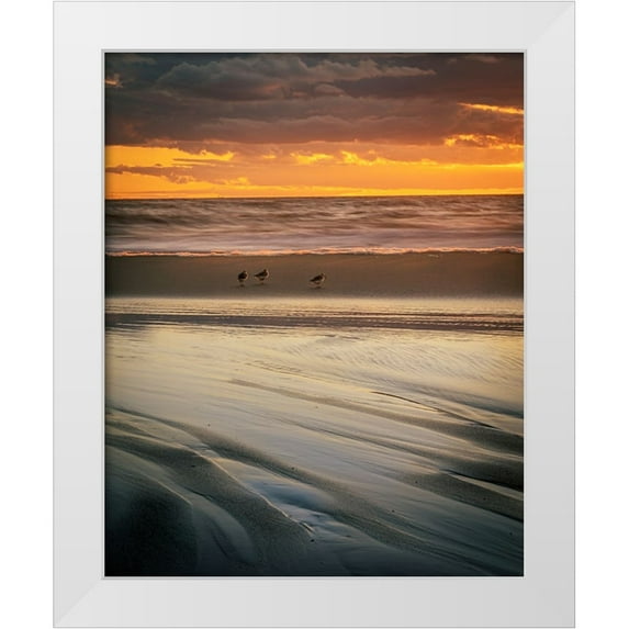 Jaynes Gallery 15x18 White Modern Wood Framed Museum Art Print Titled - USA-New Jersey-Cape May National Seashore Cloudy sunset on seashore