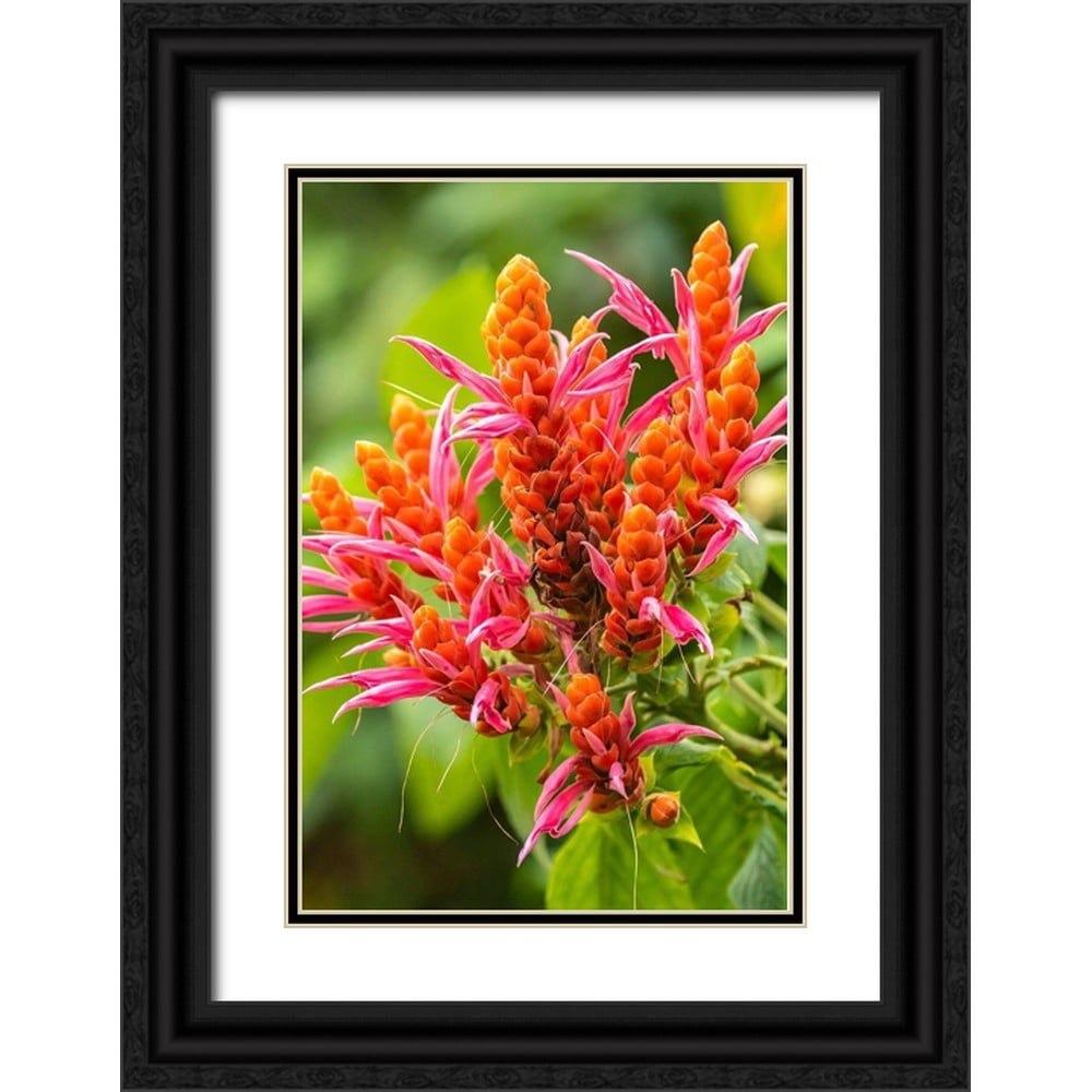 Gallery image with a fresh perspective