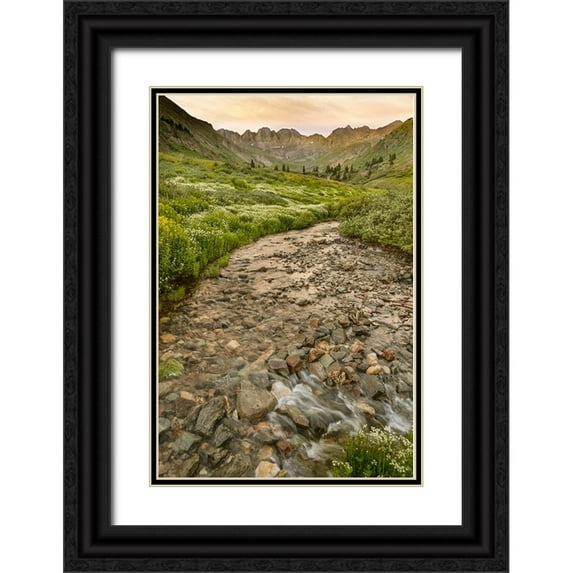Jaynes Gallery 17x24 Black Ornate Wood Framed with Double Matting Museum Art Print Titled - USA-Colorado Mountain landscape with wildflowers and stream