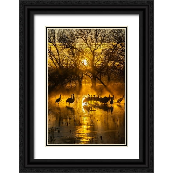 Jaynes Gallery 17x24 Black Ornate Wood Framed with Double Matting Museum Art Print Titled - USA-New Mexico-Bernardo Wildlife Management Area-Sandhill cranes in water on foggy sunrise