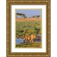 thumbnail image 1 of Jaynes Gallery 17x24 Gold Ornate Wood Framed with Double Matting Museum Art Print Titled - Africa-Tanzania-Serengeti National Park Male lion and water, 1 of 4