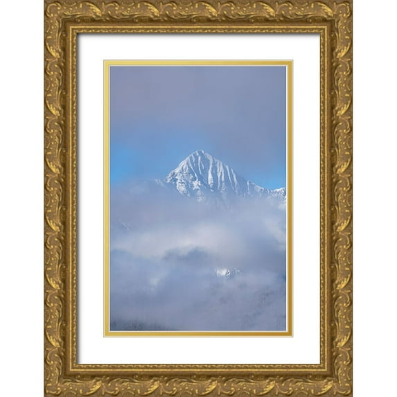 Jaynes Gallery 17x24 Gold Ornate Wood Framed with Double Matting Museum Art Print Titled - USA-Colorado-Uncompahgre National Forest Autumn sunrise on foggy Wilson Peak