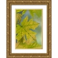thumbnail image 1 of Jaynes Gallery 17x24 Gold Ornate Wood Framed with Double Matting Museum Art Print Titled - USA-Washington State-Seabeck Bigleaf maple leaves close-up in autumn, 1 of 4