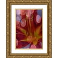 thumbnail image 1 of Jaynes Gallery 17x24 Gold Ornate Wood Framed with Double Matting Museum Art Print Titled - California Abstract of day lily flower, 1 of 4