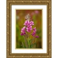 thumbnail image 1 of Jaynes Gallery 17x24 Gold Ornate Wood Framed with Double Matting Museum Art Print Titled - Canada-Yukon-Watson Lake Fireweed blossoms close-up, 1 of 4