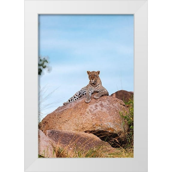 Jaynes Gallery 17x24 White Modern Wood Framed Museum Art Print Titled - Africa-Tanzania-Serengeti National Park Leopard resting on boulder