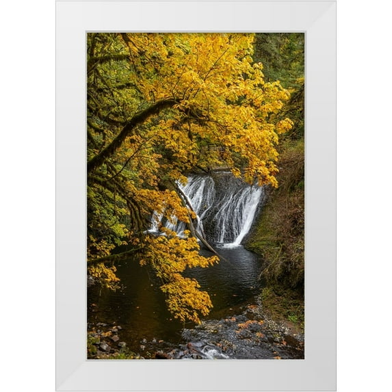 Jaynes Gallery 17x24 White Modern Wood Framed Museum Art Print Titled - USA-Oregon-Silver Falls State Park Lower South Falls waterfall landscape