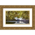 thumbnail image 1 of Jaynes Gallery 18x12 Gold Ornate Wood Framed with Double Matting Museum Art Print Titled - Washington State-Olympic National Park Bigleaf maple tree and lake, 1 of 4
