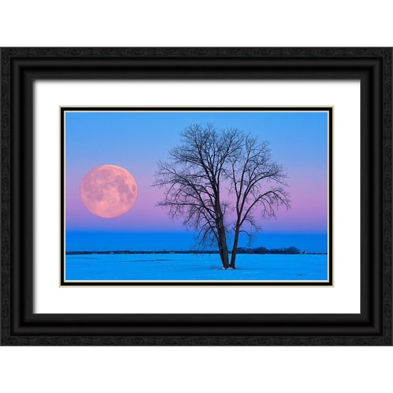 Jaynes Gallery 18x13 Black Ornate Wood Framed with Double Matting Museum Art Print Titled - Canada-Manitoba-Dugald Full moon and cottonwood tree at dawn