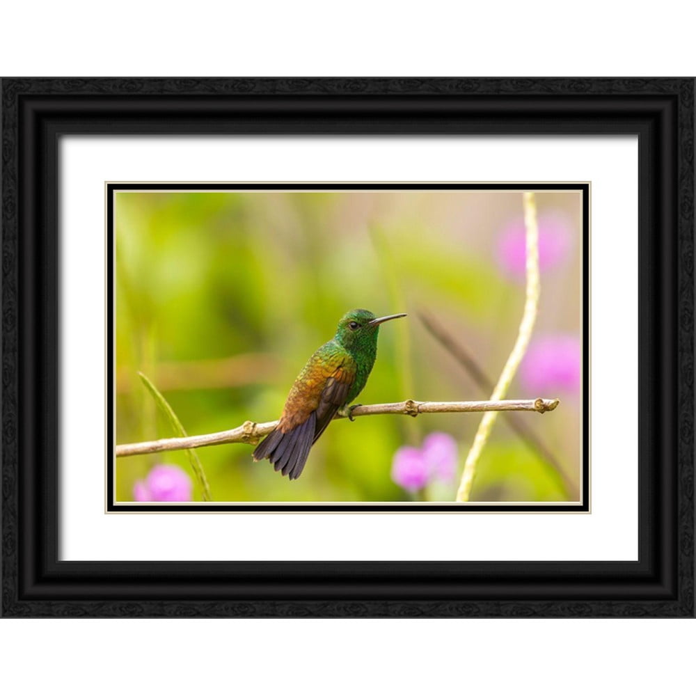 Gallery image with a fresh perspective