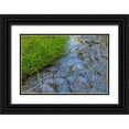 thumbnail image 1 of Jaynes Gallery 18x13 Black Ornate Wood Framed with Double Matting Museum Art Print Titled - Washington State-Seabeck Grass alongside stream in Guillemot Cove Nature Preserve, 1 of 4