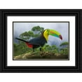 thumbnail image 1 of Jaynes Gallery 18x13 Black Ornate Wood Framed with Double Matting Museum Art Print Titled - Costa Rica-Composite close-up of keel-billed toucan, 1 of 4