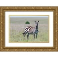 thumbnail image 1 of Jaynes Gallery 18x13 Gold Ornate Wood Framed with Double Matting Museum Art Print Titled - Africa-Kenya-Maasai Mara National Reserve Close-up of lone zebra, 1 of 4