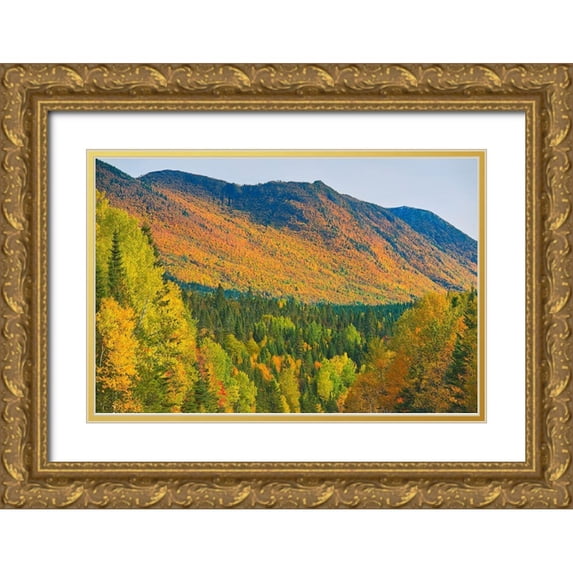 Jaynes Gallery 18x13 Gold Ornate Wood Framed with Double Matting Museum Art Print Titled - Canada-Quebec-Parc National de la Gaspesie Autumn colors in Chic-Choc Mountains