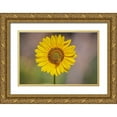 thumbnail image 1 of Jaynes Gallery 18x13 Gold Ornate Wood Framed with Double Matting Museum Art Print Titled - USA-Colorado-Fort Collins Orange-belted bumble bee on sunflower, 1 of 4