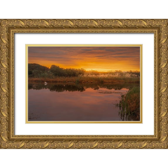 Jaynes Gallery 18x13 Gold Ornate Wood Framed with Double Matting Museum Art Print Titled - USA-New Jersey-Cape May National Seashore Sunrise on marsh