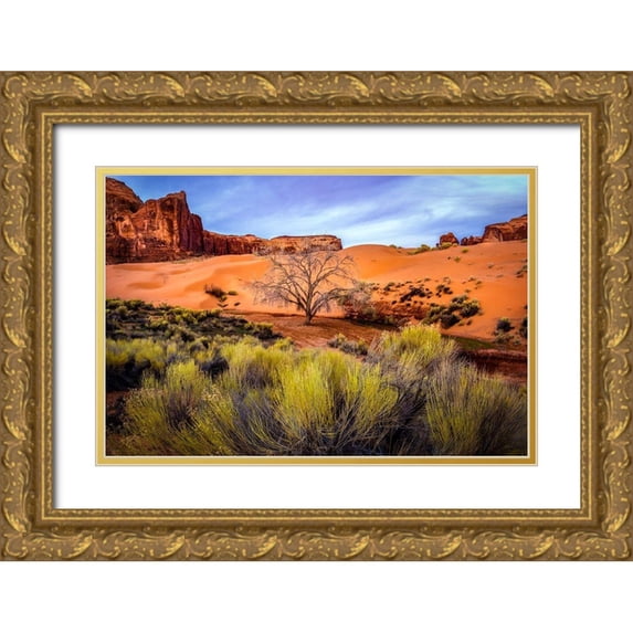 Jaynes Gallery 18x13 Gold Ornate Wood Framed with Double Matting Museum Art Print Titled - Utah-Monument Valley Landscape and dead tree