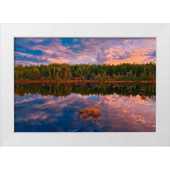 Jaynes Gallery 18x13 White Modern Wood Framed Museum Art Print Titled - Canada-Ontario-Greater Sudbury Lake grasses and cloud reflections at sunrise