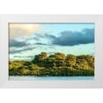 thumbnail image 1 of Jaynes Gallery 18x13 White Modern Wood Framed Museum Art Print Titled - Caribbean-Trinidad-Caroni Swamp Scarlet ibis birds in flight and flamingos in water, 1 of 4